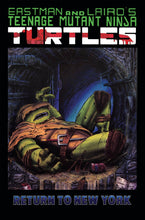 Load image into Gallery viewer, Teenage Mutant Ninja Turtles: Color Classics