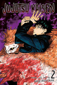 Jujutsu Kaisen