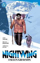 Load image into Gallery viewer, Nightwing by Tom Taylor
