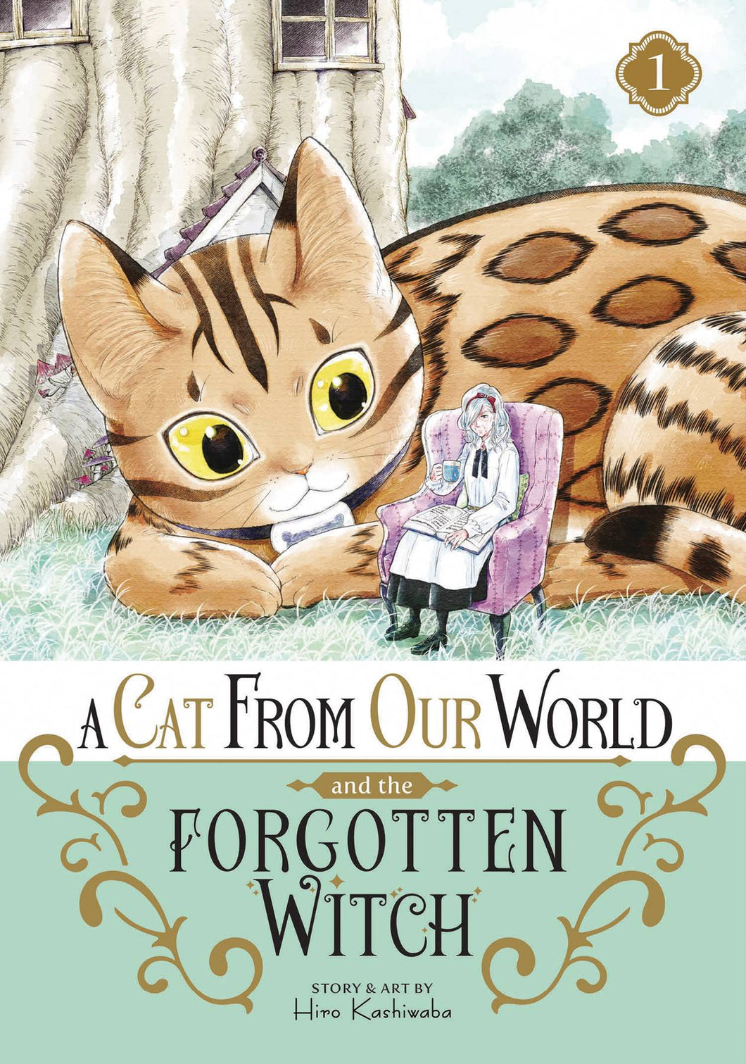 Cat From Our World & The Forgotten Witch