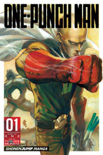 Load image into Gallery viewer, One Punch Man
