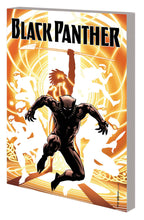 Load image into Gallery viewer, Black Panther by Ta-Nehisi Coates
