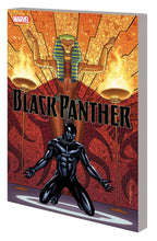 Load image into Gallery viewer, Black Panther by Ta-Nehisi Coates
