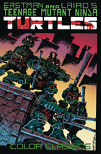 Load image into Gallery viewer, Teenage Mutant Ninja Turtles: Color Classics
