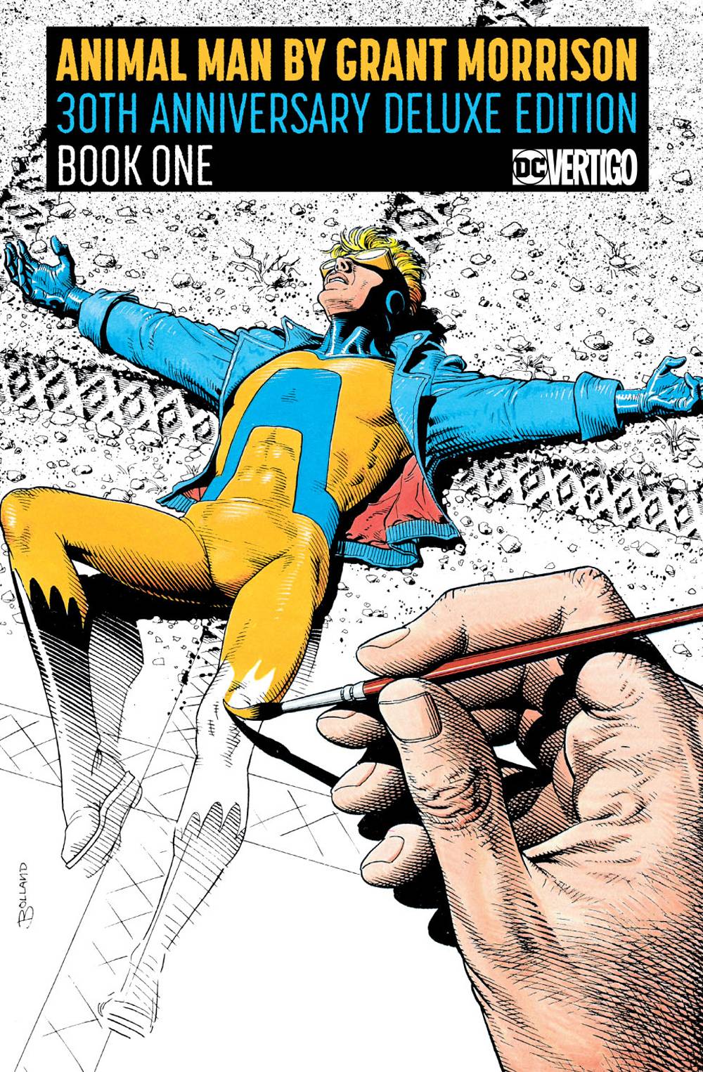 Animal Man, by Grant Morrison