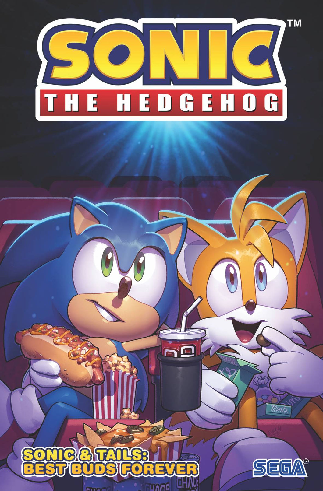 Sonic The Hedgehog & Tails: Best Buds Forever